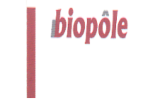 'écran 2026-01-13 183208